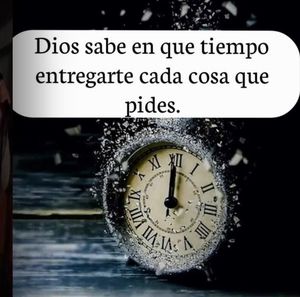 Meet your Posher, Rosa